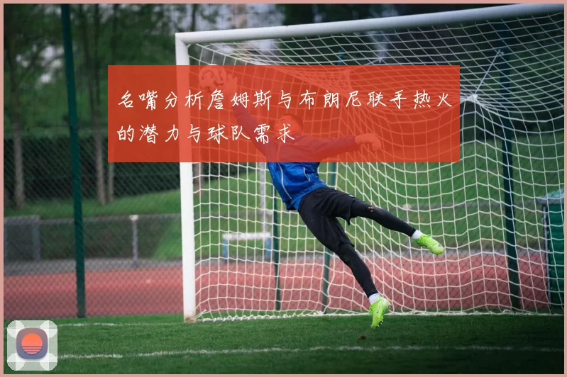 名嘴分析詹姆斯与布朗尼联手热火的潜力与球队需求